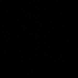 Meet your Posher, Ella